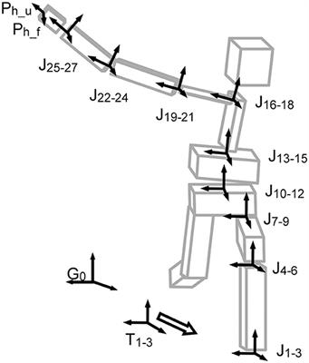 Consistent Hand Dynamics Are Achieved by Controlling Variabilities Among Joint Movements During Fastball Pitching